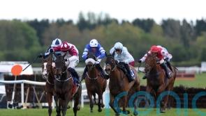 Maxxum effect to the liking of Elliott at Fairyhouse