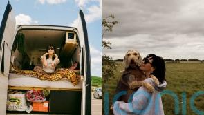 Woman, 27, escapes UK rental market to live in a van with her dog for just £650 a month