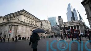 Bank of England rate-setter says US tariffs likely to push down on inflation