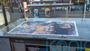 Photographers launch exhibition that can only be seen from top deck of bus