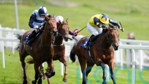 Sea Scout battles on bravely to land Blue Riband Trial