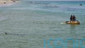 Israeli police scour Mediterranean for swimmer feared attacked by shark