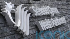 Senedd politician to quit following gambling probe