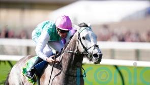 Field Of Gold poised to be sole Juddmonte runner in 2000 Guineas