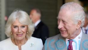 King and Queen to host palace reception to celebrate work of cancer groups