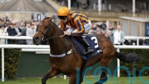 Dancing Gemini follows familiar Mile route at Sandown