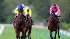 Almaqam returns to the scene of his finest hour so far