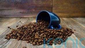 Millennials ‘spill the beans’, while Gen Z ‘spills the tea’, study says