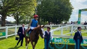 Damysus set to put Derby credentials on the line in Dante