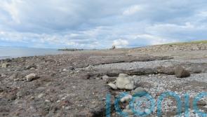 Industrial waste turning to rock in decades, research finds