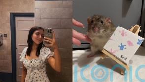 Student trains pet rats to paint by guiding their paws with baby food and has made £1,000 selling their ‘paw-traits’