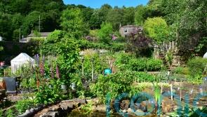 How to make your allotment look pretty