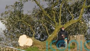 Jury selection begins in Sycamore Gap trial
