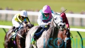 Field Of Gold and Twain among big guns still standing for Newmarket
