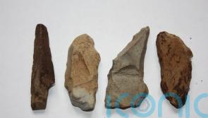 Stone tools used by some of earliest humans in Scotland found on Skye