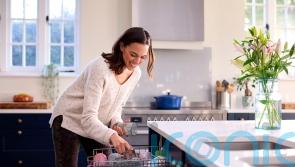 How to keep your dishwasher running efficiently all summer long