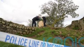Sycamore Gap accused ‘revelled in news reports of what they had done’ to tree