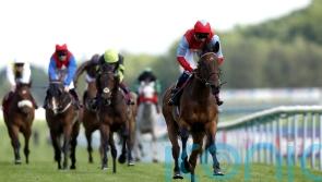 Divine Comedy could scupper Sagaro hat-trick for Coltrane