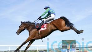 Champ Kiely tops Ballyburn for Grade One gold