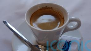 Lavazza and Dualit ads banned over ‘misleading’ compostable coffee suggestion