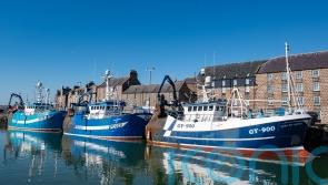 Poll finds strong support for UK control of fishing waters ahead of EU talks
