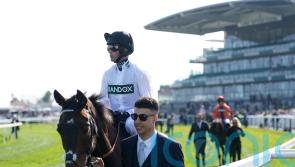 Constitution Hill declared for Punchestown assignment