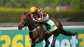 Lockinge on Dancing Gemini radar if ground is right
