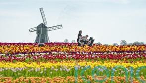 Temperatures to hit 30C &ndash; but heatwave ruled out