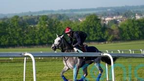 Field Of Gold can ‘close the circle’, says Gosden