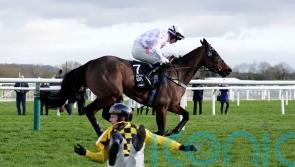 Crack hurdlers poised for eagerly-awaited Punchestown ‘decider’