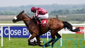 Sean Bowen carries on title celebrations at Punchestown