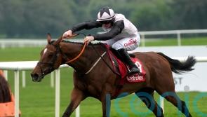 Teahupoo delivers again for Gordon Elliott