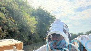 How to become a beekeeper