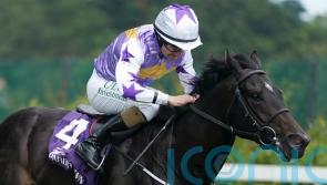 Green aiming to make Classic Impact for Harrington