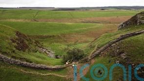 Sycamore Gap accused thought world-famous tree would be ‘good trophy,’ jury told