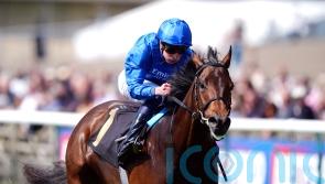 Alpine Trail proving a pleasant surprise for Charlie Appleby