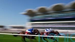 Bellum Justum seals Royal Ascot ticket