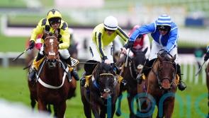 Poniros and Lulamba primed for Punchestown rematch