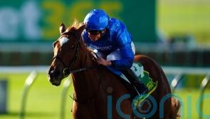 Desert Flower and Lake Victoria poised for Classic showdown