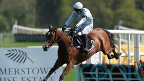 Jade De Grugy too good for Brighterdaysahead at Punchestown