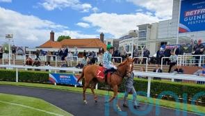 Sand Gazelle takes Eyecatcher accolade at Newmarket