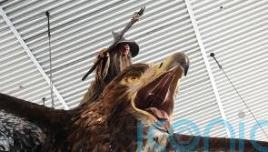 Giant sculpture of Gandalf riding an eagle to be removed from Wellington Airport