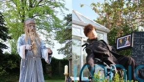 ‘Exstraw-dinary’ versions of Dumbledore and Stephen Hawking at scarecrow event