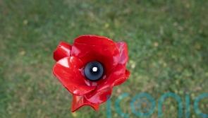 Veterans and families to attend VE Day 80th anniversary commemorations