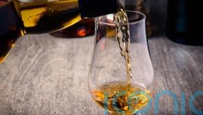 UK-India trade deal: Key points from whisky and gin to cars and textiles