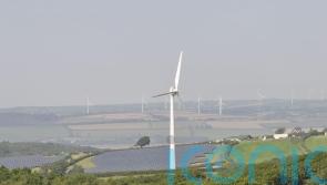 Minister urges ‘much greater development’ of solar on factories and homes