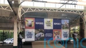 RSPCA ad campaign cleared following complaints by campaigners