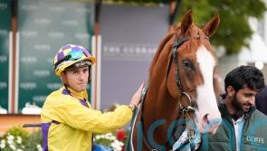 Scorthy Champ has Curragh plan after Newmarket disappointment