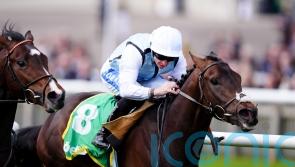 High Stock bidding to pose Derby dilemma in Dee Stakes