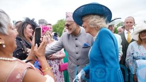 Camilla makes friends with ‘attention-seeking’ guide dog at palace garden party
